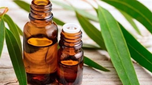 زيت الكافور 