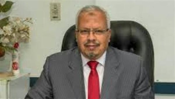 المهندس محمد نجيب