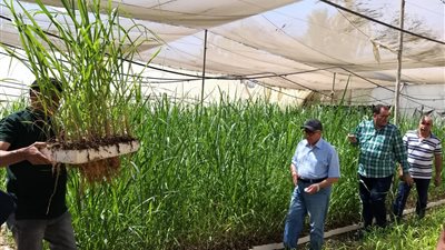 الزراعة تواصل متابعة أصولها في محافظتي قنا والأقصر