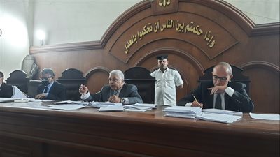 محكمة جُنح السويس تقضي بحبس موجة 72 ساعة لاعتدائه على بائعة خضار | فيديو 