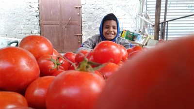 بابتسامة عريضة.. قصة أصغر بائع خضار في سوق السويس