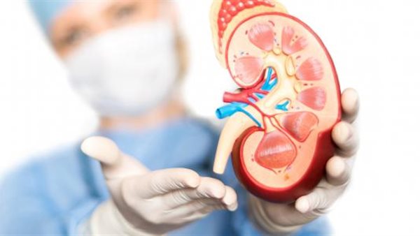 تبرع بالأعضاء - تعبيرية