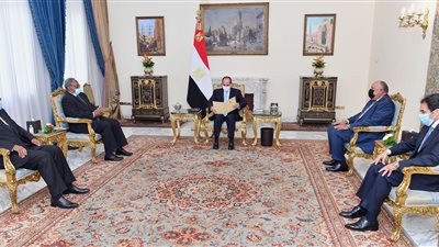 الرئيس يتسلم رسالة خطية من رئيس الاتحاد الإفريقي فيليكس تشيسيكيدي