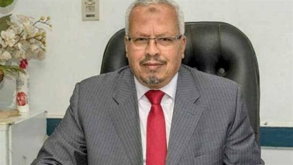 المهندس محمد نجيب