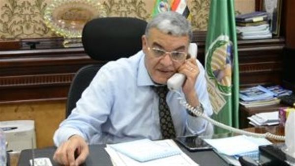 محافظ المنيا