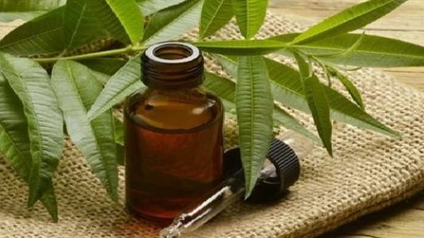 زيت شجرة الشاي