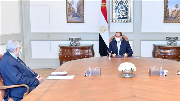 الرئيس السيسي والدكتور