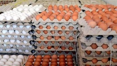 سعر الكرتونة 53 جنيهًا.. بائع يكشف أسباب ارتفاع سعر البيض في الأسواق 