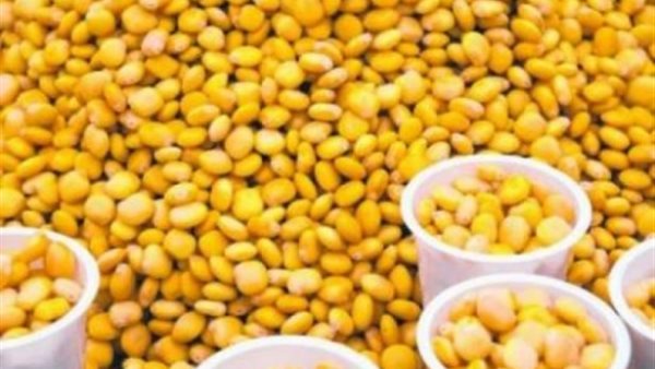 ترمس - أرشيفية