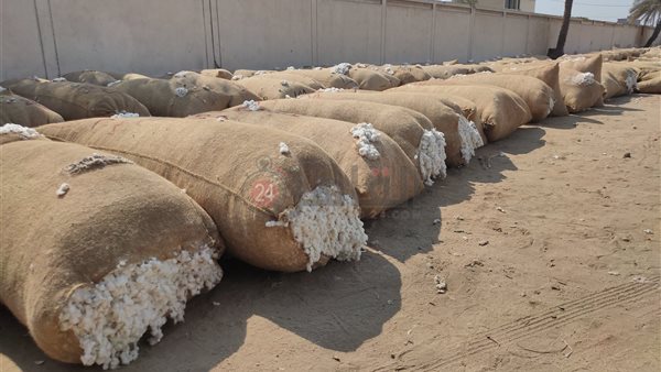 المزاد الخامس لبيع