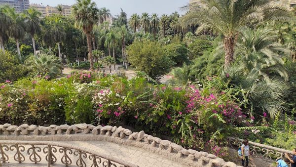 حديقة الأسماك