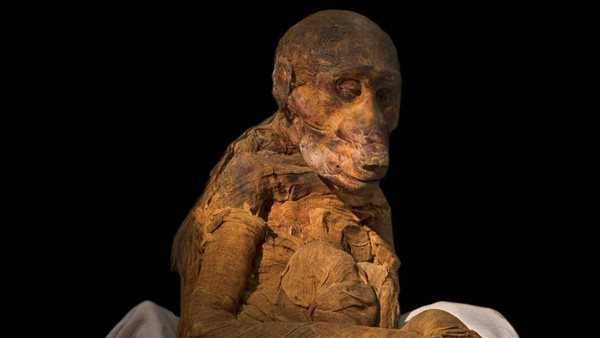 مومياء لقرد البابون