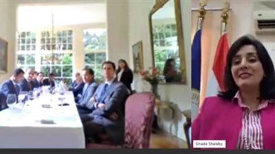 نائب وزير السياحة تعقد اجتماعًا مع ممثلي القطاع الهولندي لدفع الحركة الوافدة إلى مصر