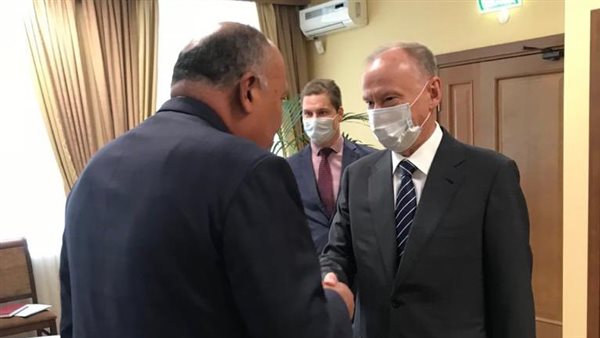 وزير الخارجية يلتقي