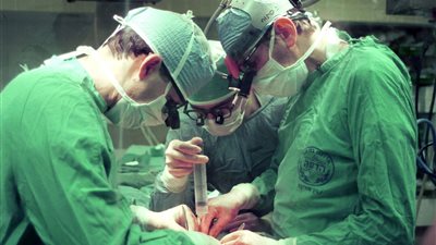 أستاذ أمراض كُلى يكشف تفاصيل زراعة كلية خنزير في جسد أمريكية