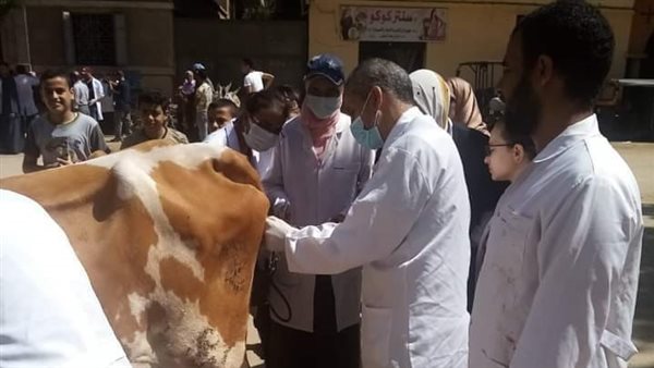 قافلة بيطرية بقرية