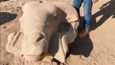 تثبيت رؤوس الكباش المكتشفة أمام بوابة خنسو بالكرنك