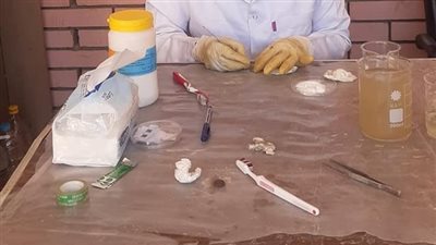 البعثة الألمانية بأسيوط تبدأ في ترميم القطع الأثرية بالمخزن المتحفي 