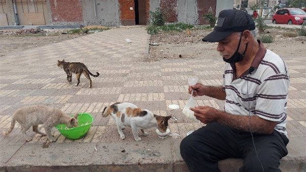 عم أحمد راعي القطط