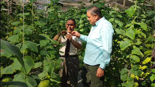 رئيس جامعة كفرالشيخ