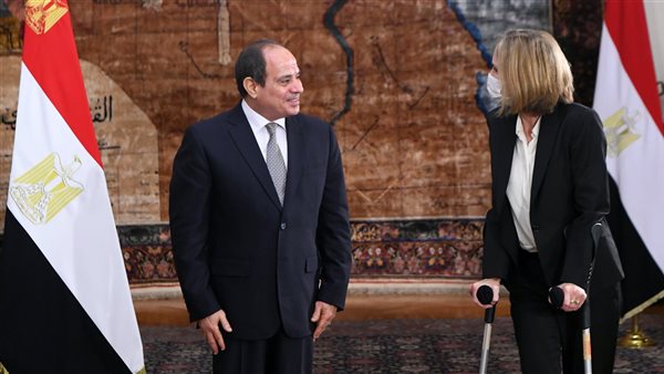 الرئيس السيسي وسفيرة