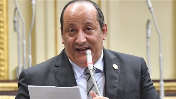 أحمد حته، عضو مجلس