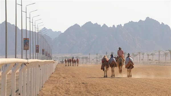 جنوب سيناء - أرشيفية