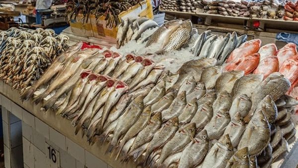 الأسماك اليوم