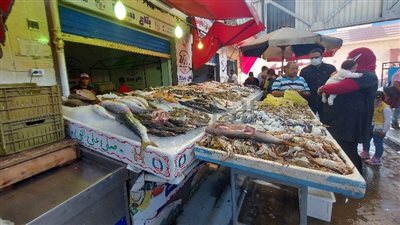 موسم البطارخ للجميع.. جولة داخل سوق الأسماك ببورسعيد | فيديو