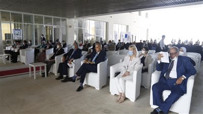 رئيس سلامة الغذاء: استراتيجية لمتابعة مراحل الإنتاج والتجهيز والتوزيع