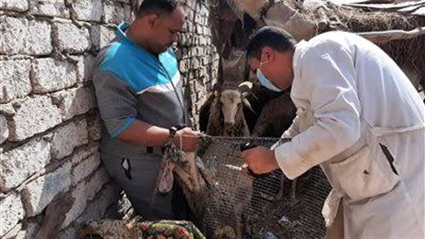 الحملة الخاصة بتحصين