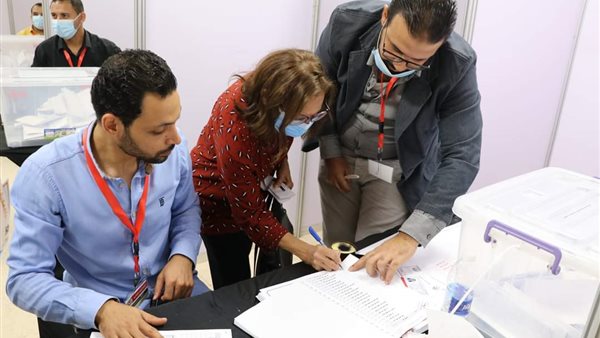 جانب من الانتخابات