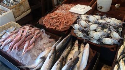الكابوريا بـ 50 جنيه والبلطي 25.. أسعار الأسماك اليوم في الأسواق