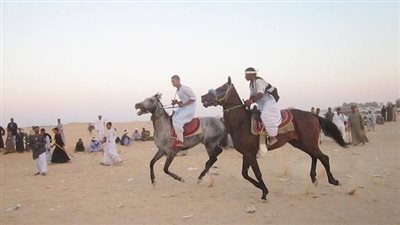 بمشاركة بيسو وحلم المجد.. انطلاق سباق الخيول بأسوان وسط حضور الآلاف