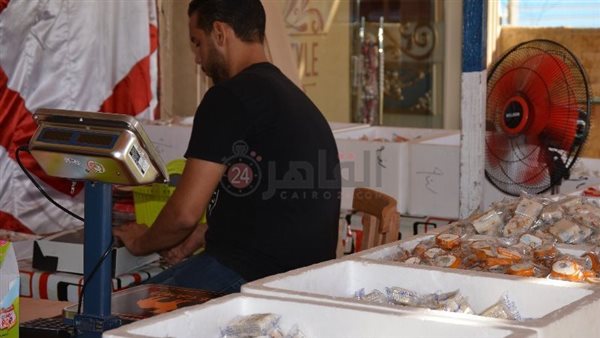 حلوي المولد بالقطعة