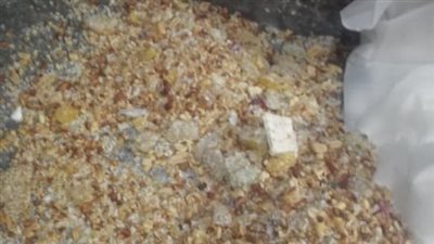 قبل طرحها بالأسواق.. ضبط 5 آلاف عبوة حلوى مولد فاسدة داخل مصنع بطنطا 