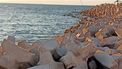 نيابة الإسكندرية تحقق في العثور على جثة رضيع ملقاة بين الصخور بطريق الكورنيش