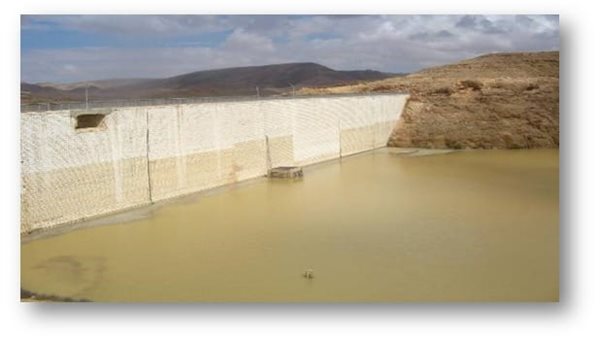 أحد المشروعات