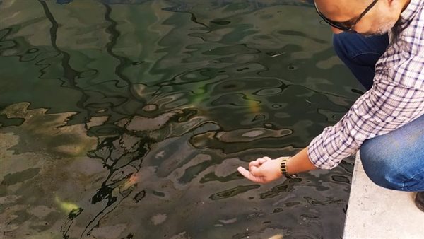 حديقة الأسماك بالجبلاية