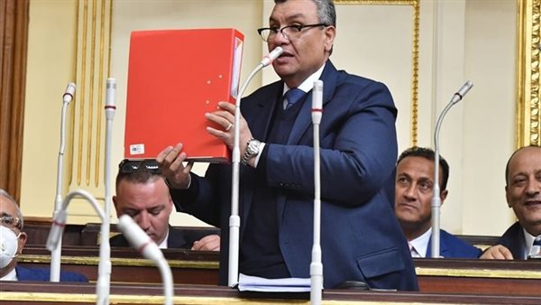 النائب مصطفى سالم