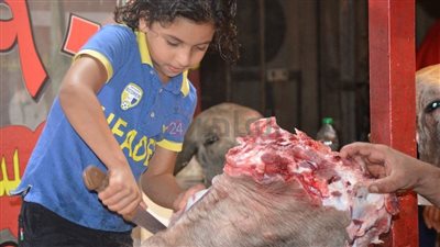 ابن الوز عوام.. عبد الله طفل 8 سنوات يساعد أسرته: بدبح وبشفي وبكسر بالساطور | صور