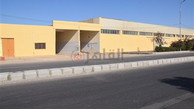 طلاء 1500 منزل بالأقصر لافتتاح مشروع الكباش