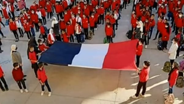 تنفيذ علم مصر بصورة