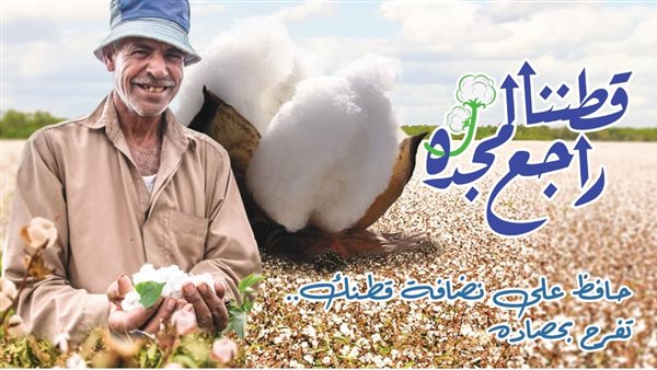 المنظومة الجديدة