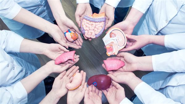 التبرع بالأعضاء