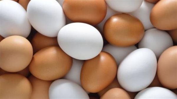 أسعار البيض اليوم
