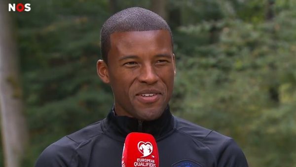 جيني فينالدوم لاعب