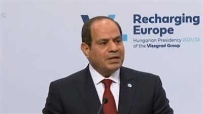 السيسي: من منظور حقوق الإنسان رفضنا المزايدة على استضافة اللاجئين 