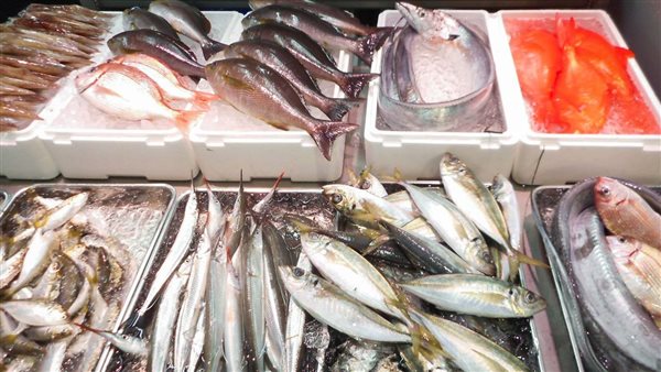 أسعار الأسماك