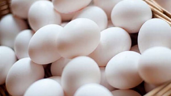 اسعار البيض في منافذ